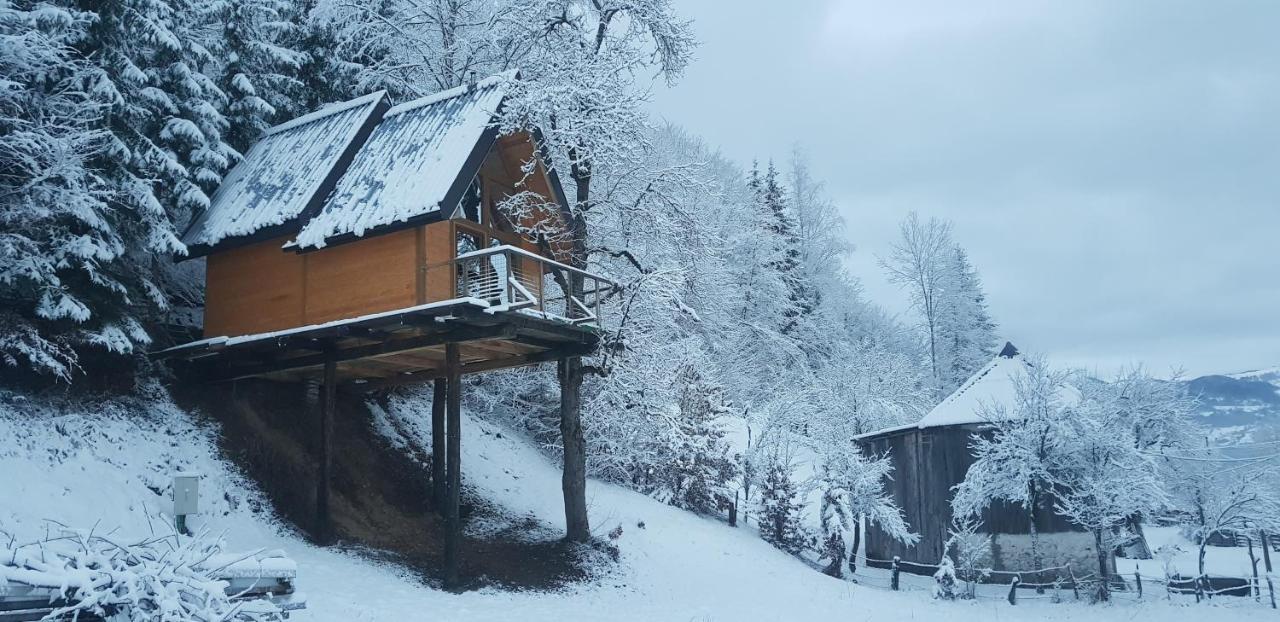 Tree House - Tara Place Mojkovac Buitenkant foto