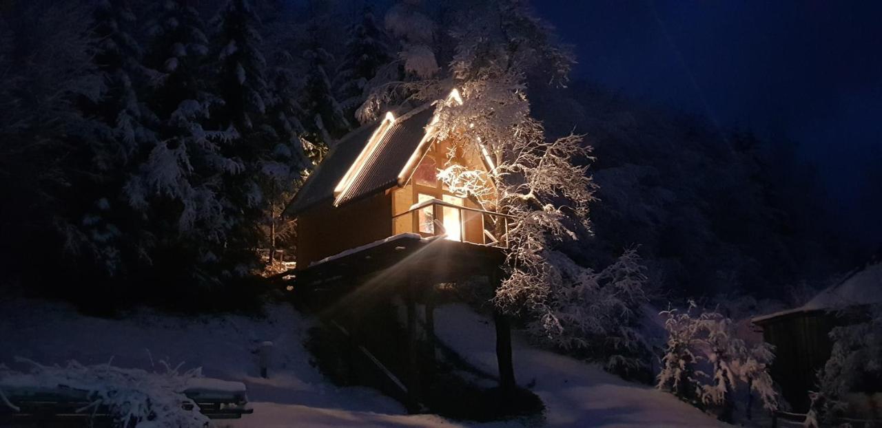 Tree House - Tara Place Mojkovac Buitenkant foto