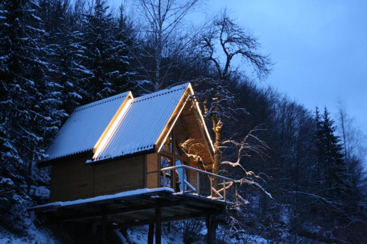 Tree House - Tara Place Mojkovac Buitenkant foto