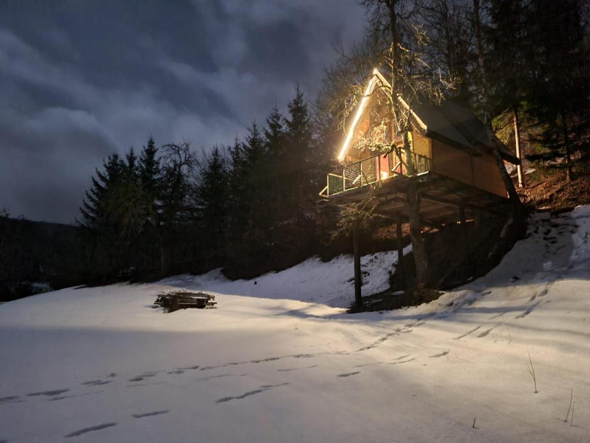 Tree House - Tara Place Mojkovac Buitenkant foto