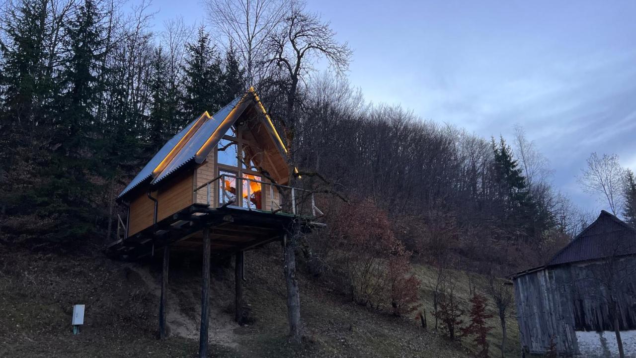 Tree House - Tara Place Mojkovac Buitenkant foto