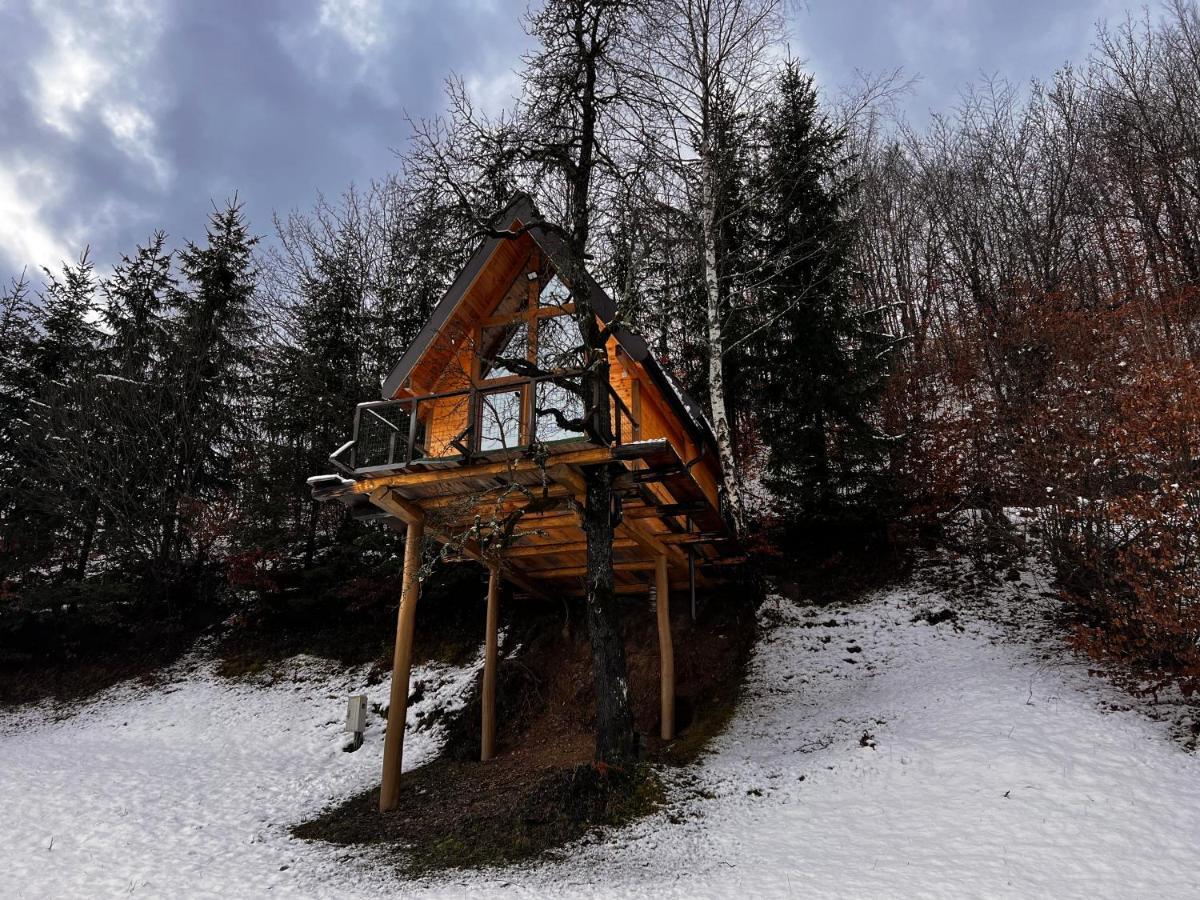 Tree House - Tara Place Mojkovac Buitenkant foto