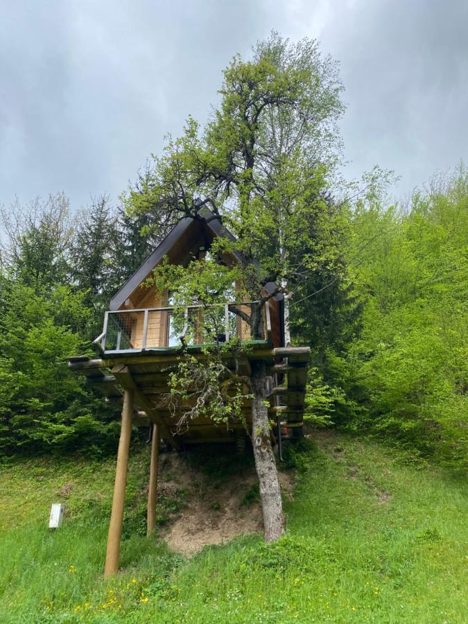 Tree House - Tara Place Mojkovac Buitenkant foto