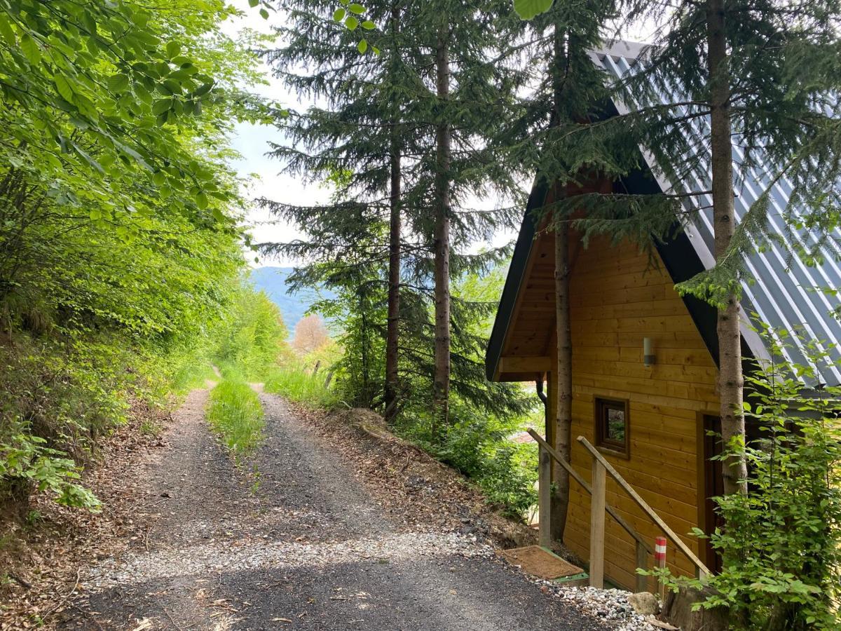 Tree House - Tara Place Mojkovac Buitenkant foto